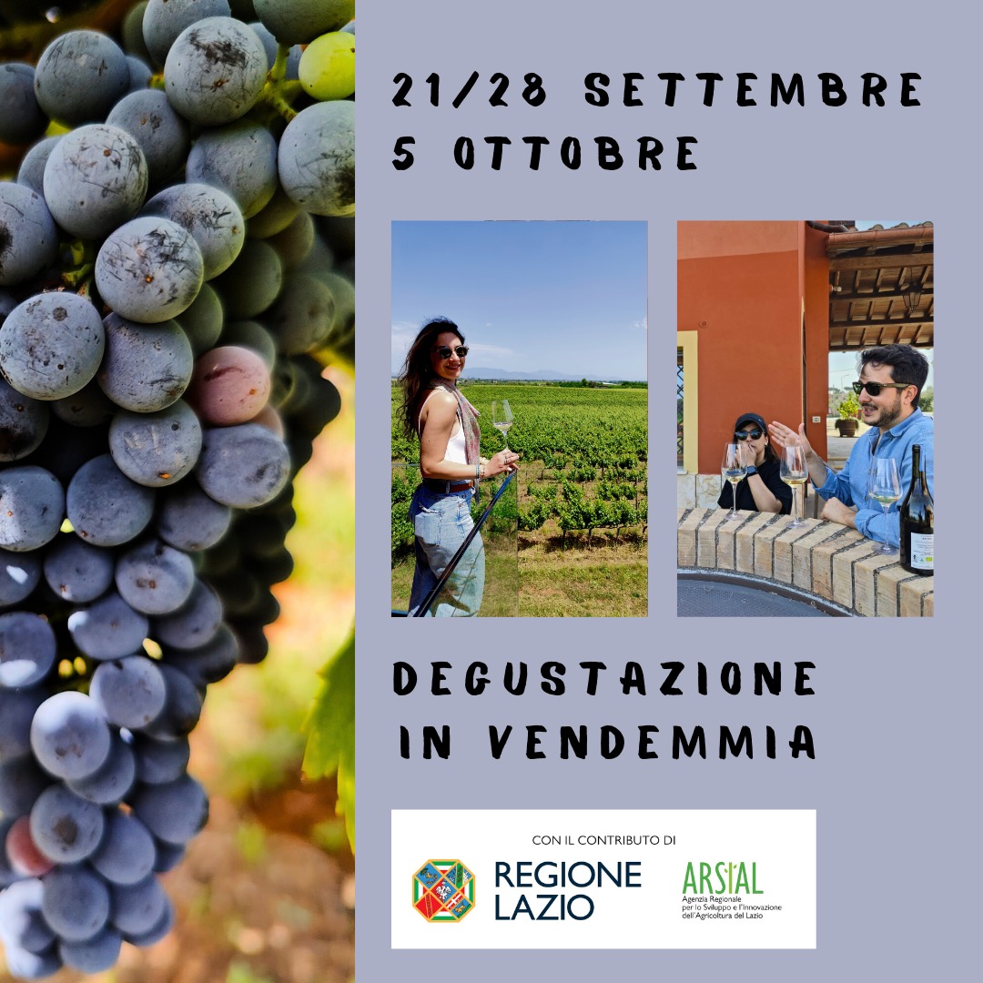 Degustazione-in-Vendemia-Cantinamena