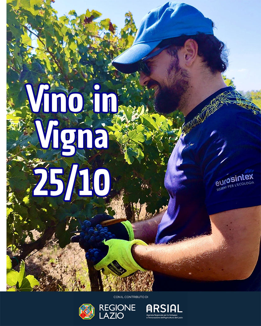 Vino-in-Vigna-CantinAmena-25_10_25